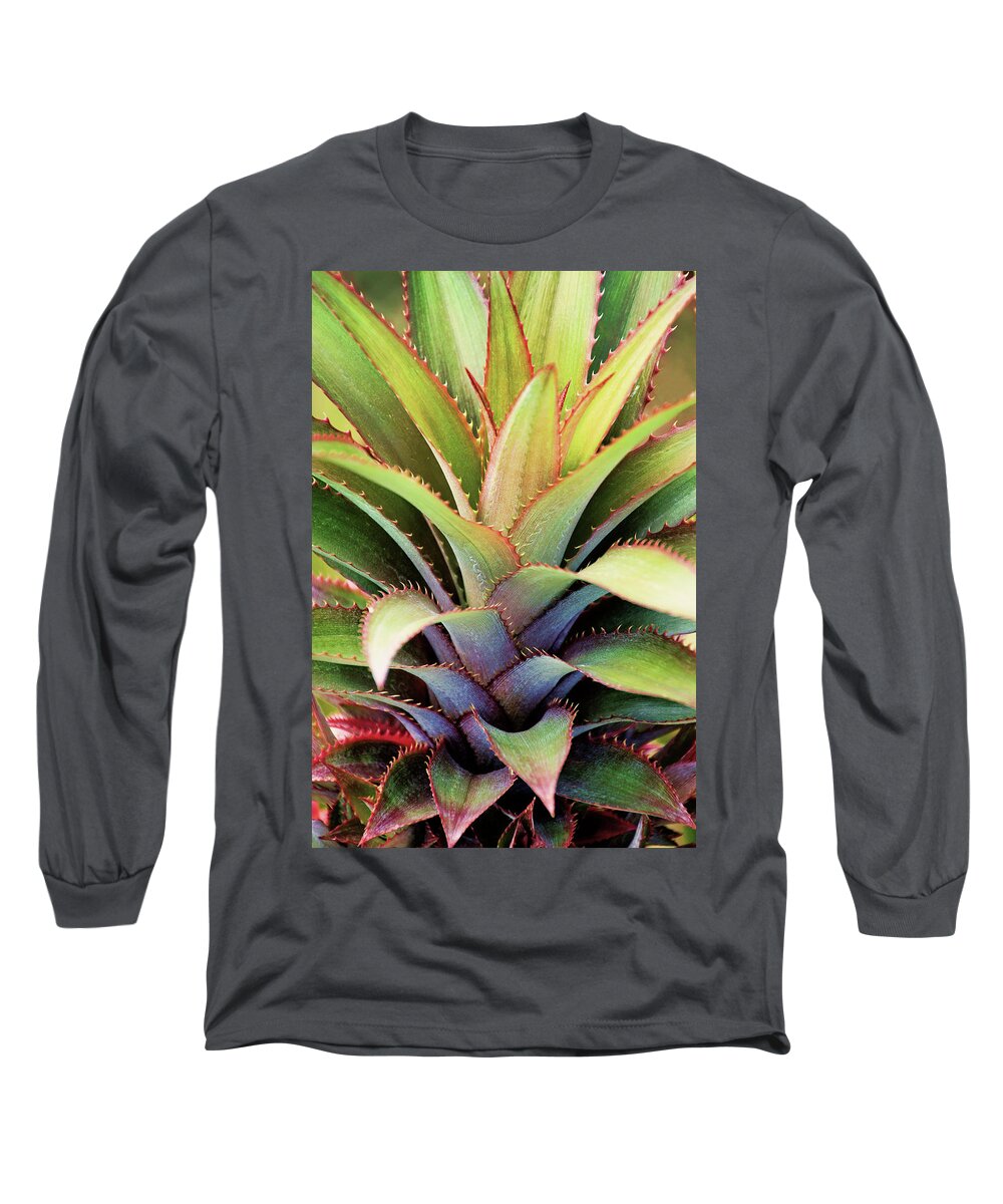 Desert Plant Long Sleeve T-Shirt featuring the photograph Spiny Succulent I by Leda Robertson