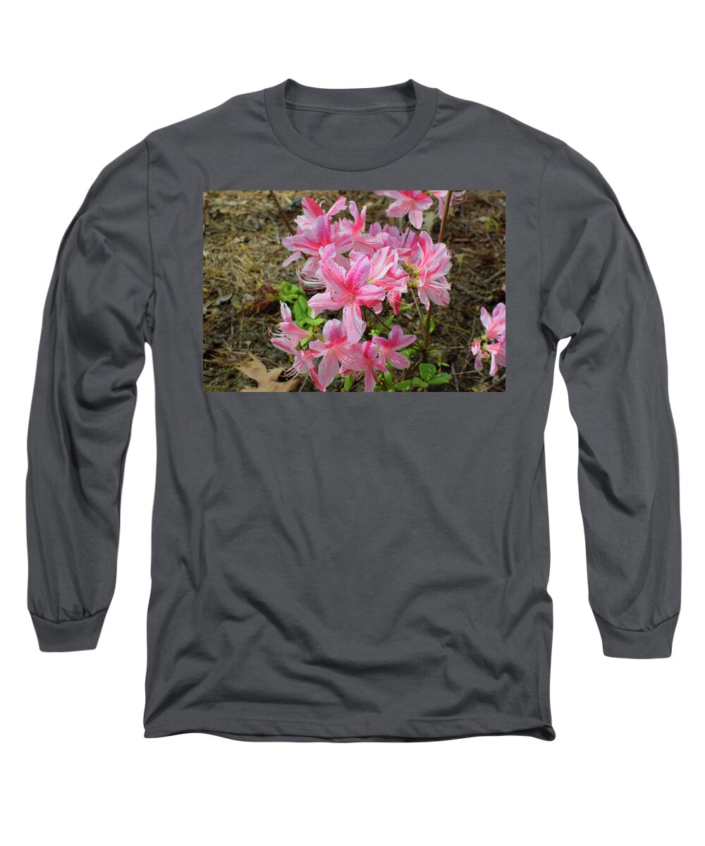 Azalea Long Sleeve T-Shirt featuring the photograph Spring Azaleas in Pink by Nicole Lloyd