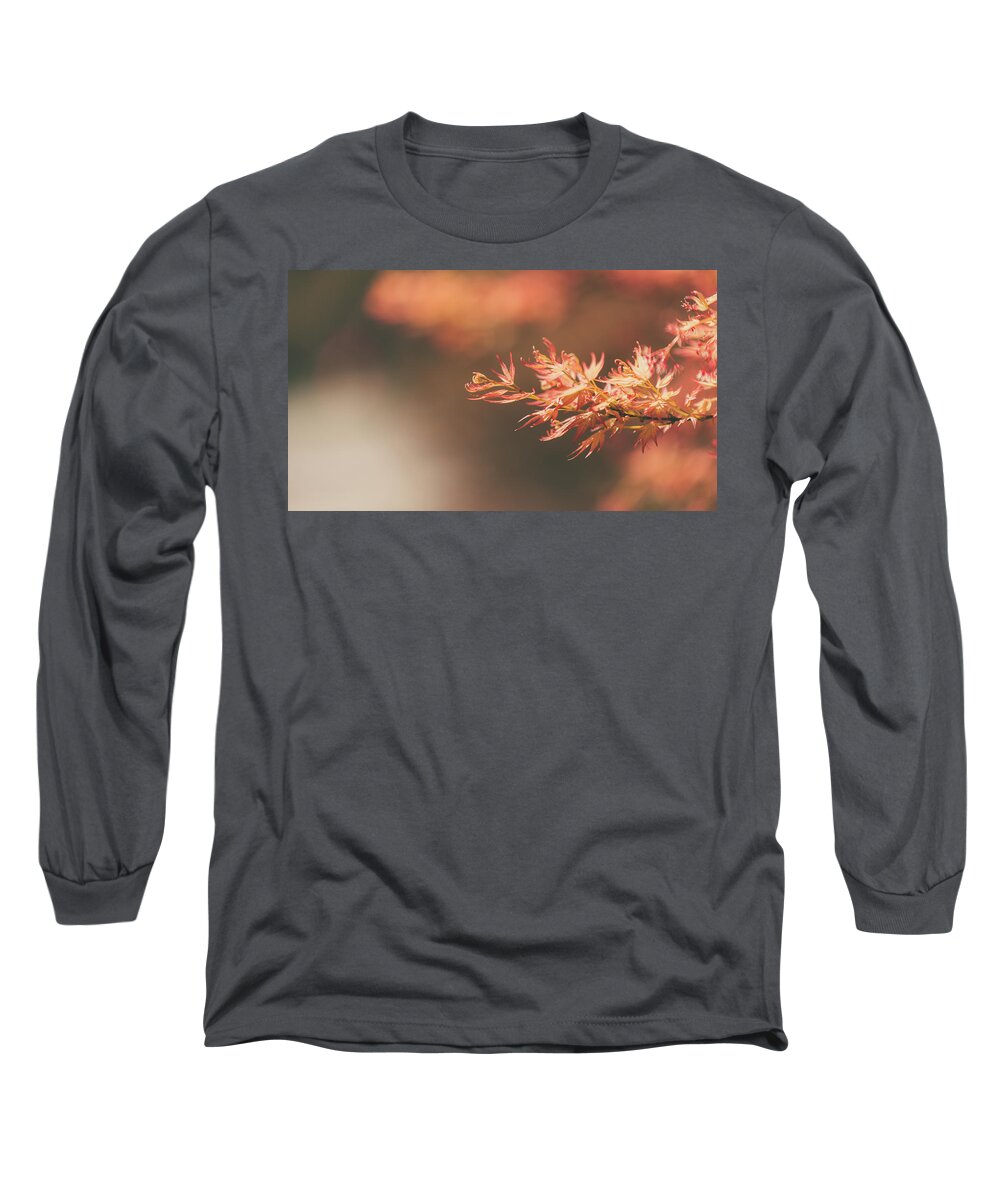  Long Sleeve T-Shirt featuring the photograph Spring or Fall by Dheeraj Mutha