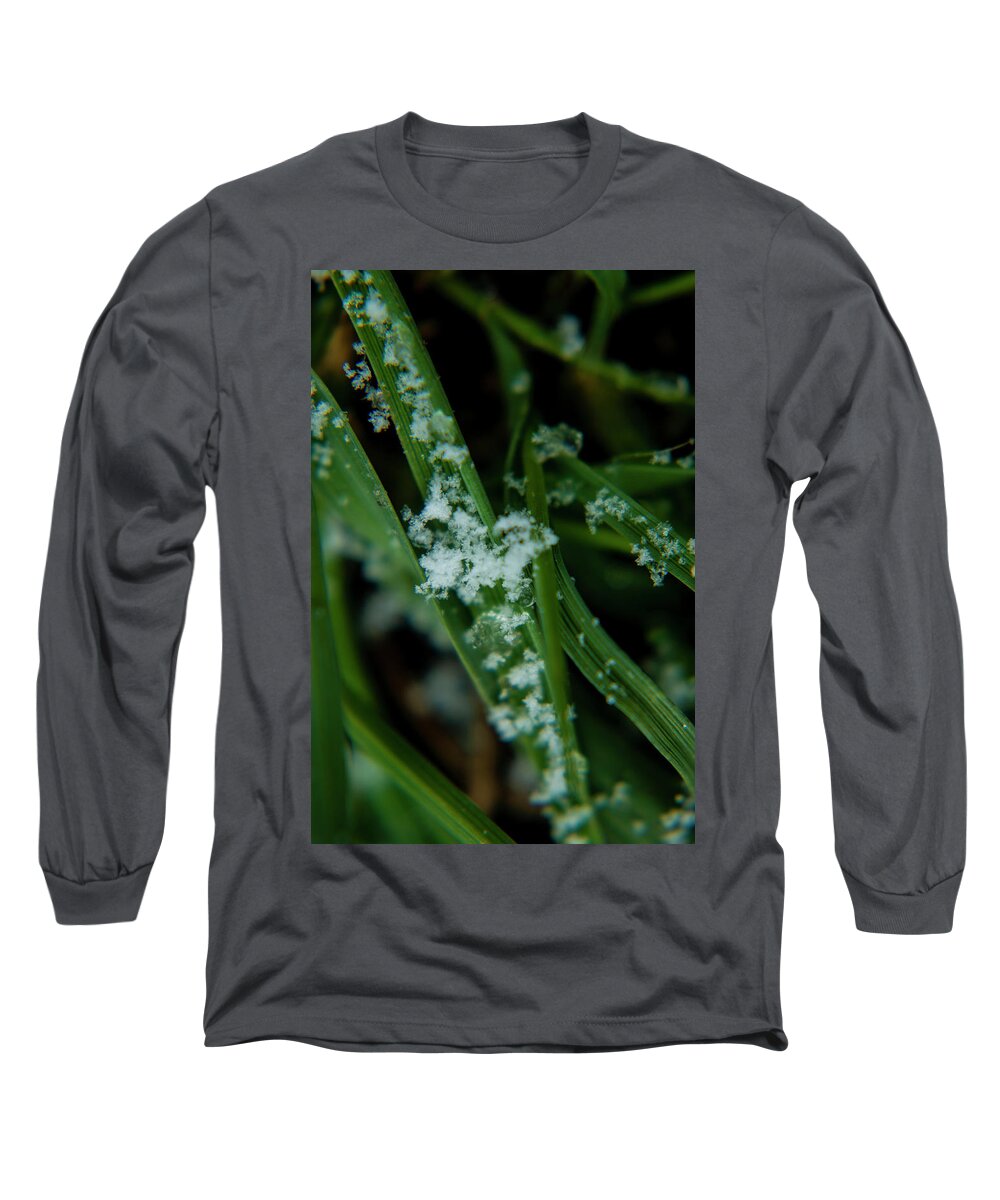 Snow Long Sleeve T-Shirt featuring the digital art Spring Snow on the Grass by Danette Steele