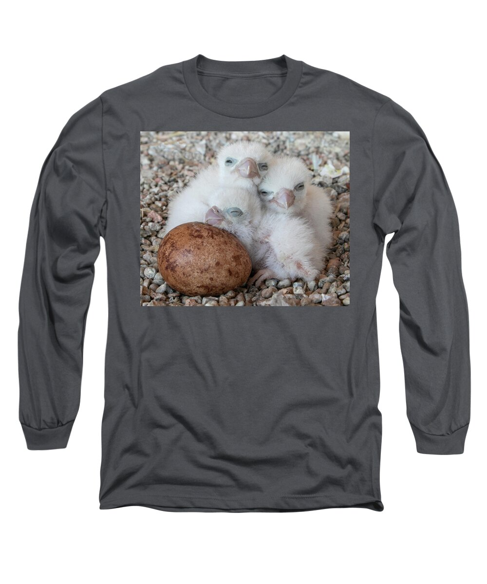 Peregrine Long Sleeve T-Shirt featuring the photograph Success Story by Kent Keller