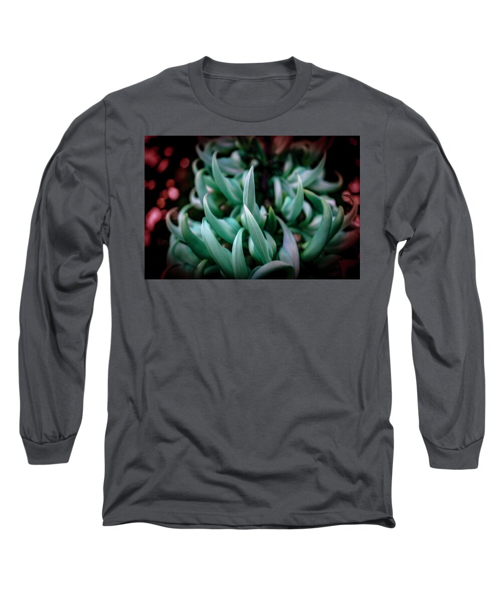 Succulent Long Sleeve T-Shirt featuring the photograph Succulent III by Lily Malor