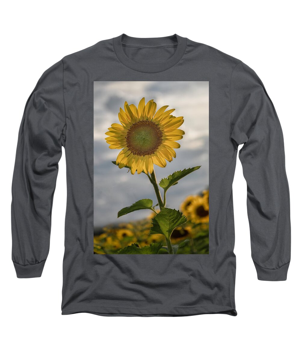 Maryland Long Sleeve T-Shirt featuring the photograph Sun Light by Robert Fawcett