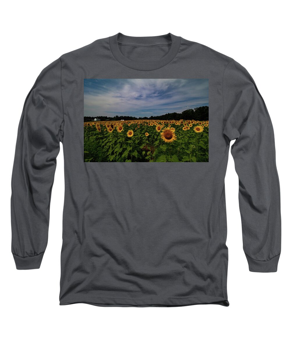 Sunflowers Long Sleeve T-Shirt featuring the photograph Sunny Faces in New Hampshire by Jeff Folger
