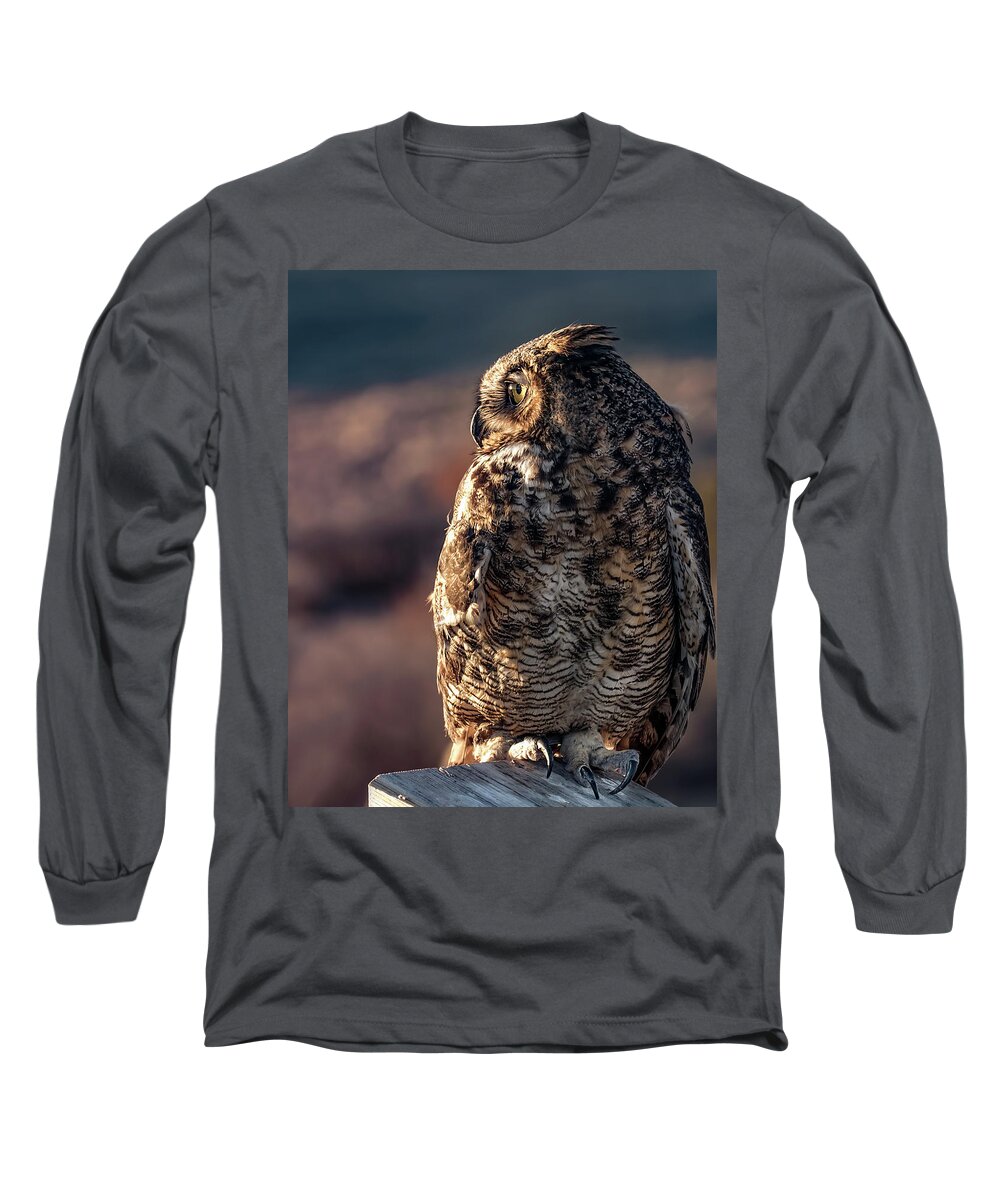 Great Horned Owl Long Sleeve T-Shirt featuring the photograph Sunset Owl by Dawn Key