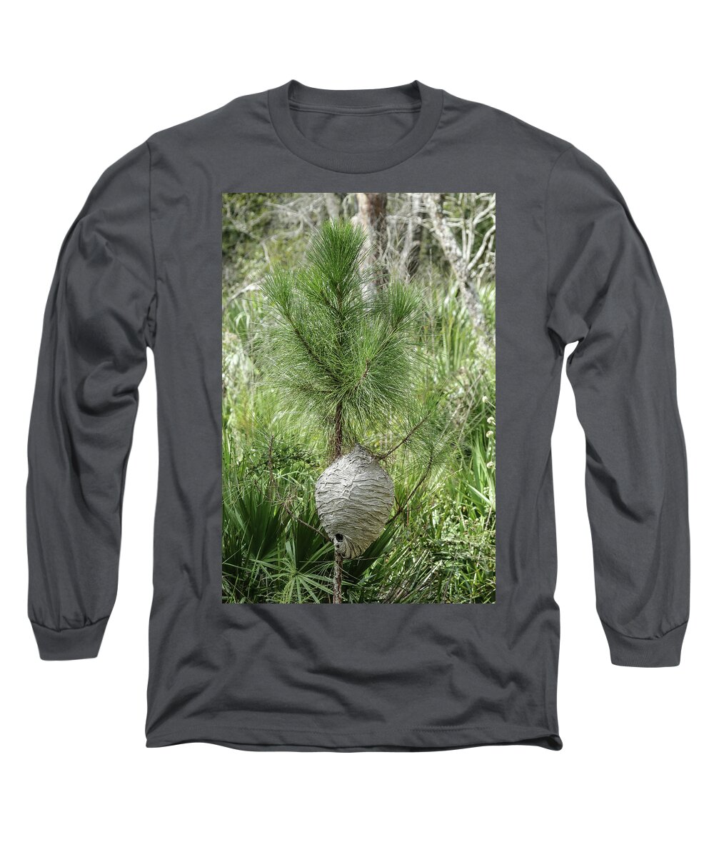 Nest Long Sleeve T-Shirt featuring the photograph Super Nest by Rick Redman