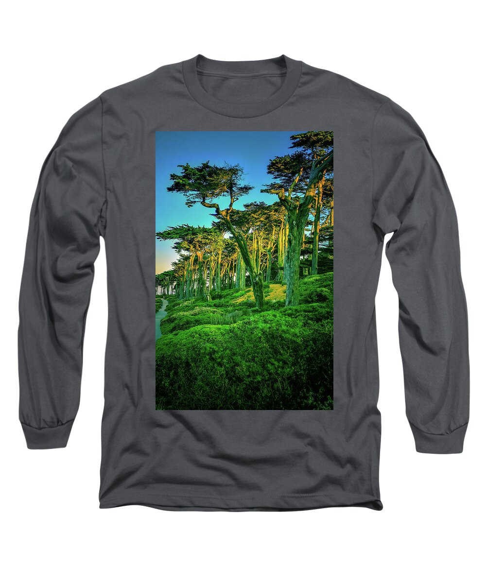 Sutro Long Sleeve T-Shirt featuring the photograph Sutro Trees in Morning Light by James Canning