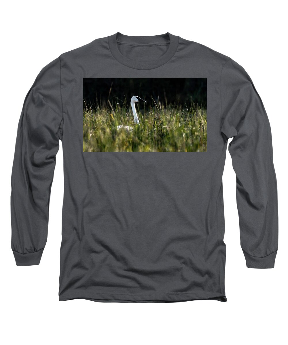 Swan Long Sleeve T-Shirt featuring the photograph Sylvania Swan by Jody Partin