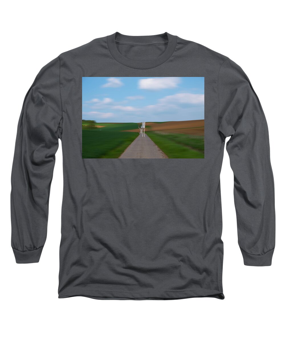 Abstract Long Sleeve T-Shirt featuring the photograph The Approaching Donkey by Rabiri Us