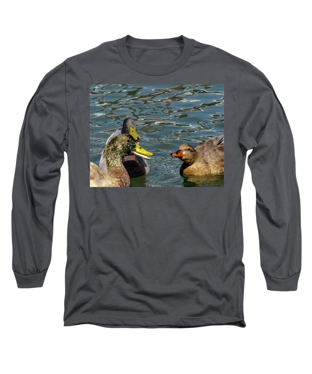 Duck Long Sleeve T-Shirt featuring the photograph The Line 2 by C Winslow Shafer