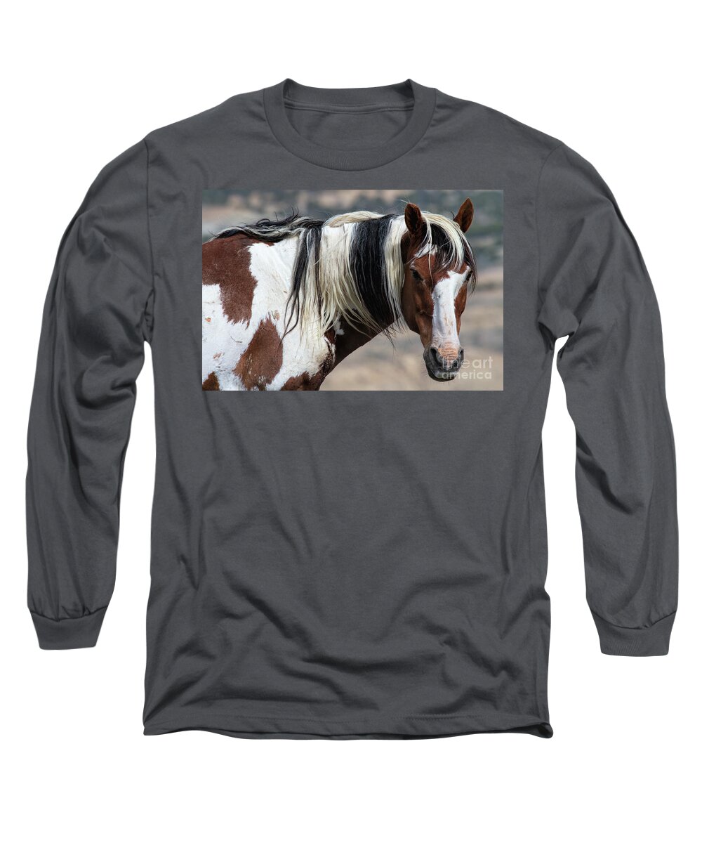 Picasso Long Sleeve T-Shirt featuring the photograph The Old Guard by Jim Garrison