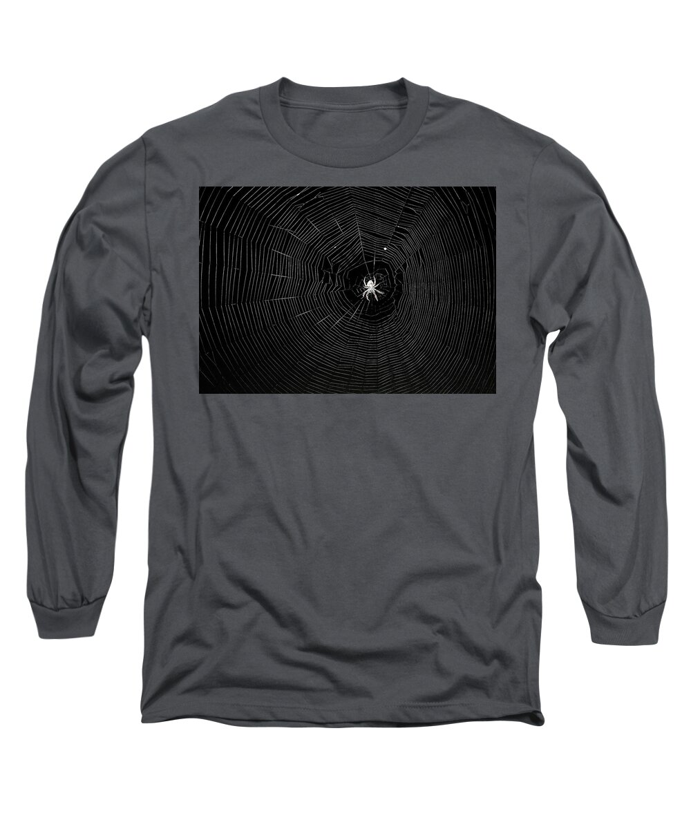 Spider Long Sleeve T-Shirt featuring the photograph The Web by Jerry Connally