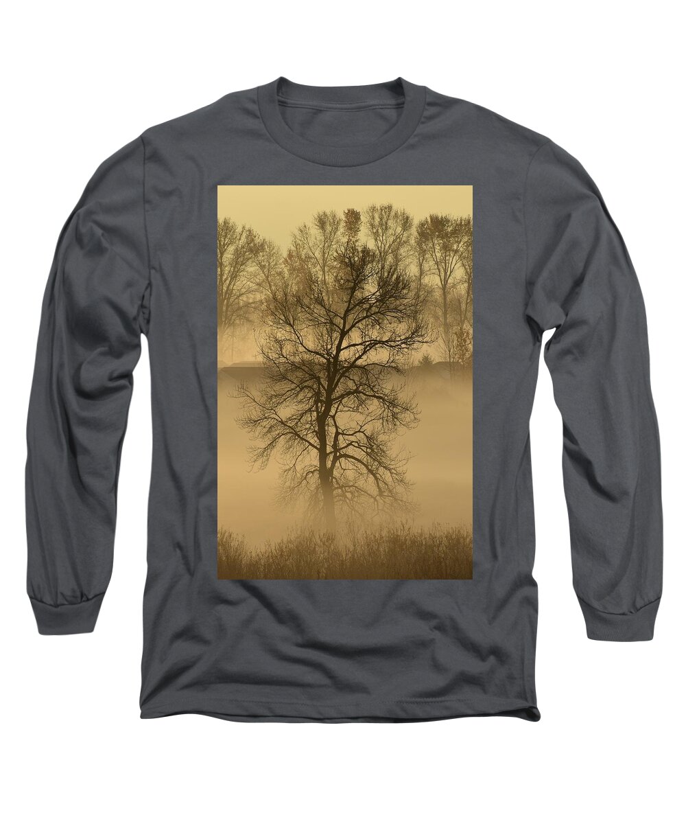 Trees Long Sleeve T-Shirt featuring the photograph This Old Tree by Jimmy Chuck Smith