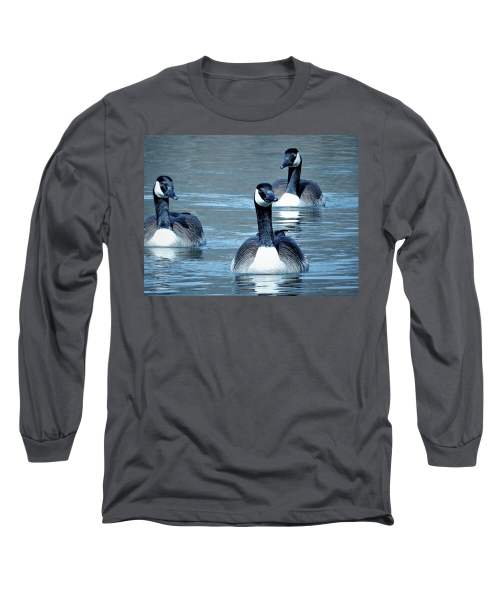 Three Geese Long Sleeve T-Shirt featuring the photograph Three of a Kind by Sandra J's