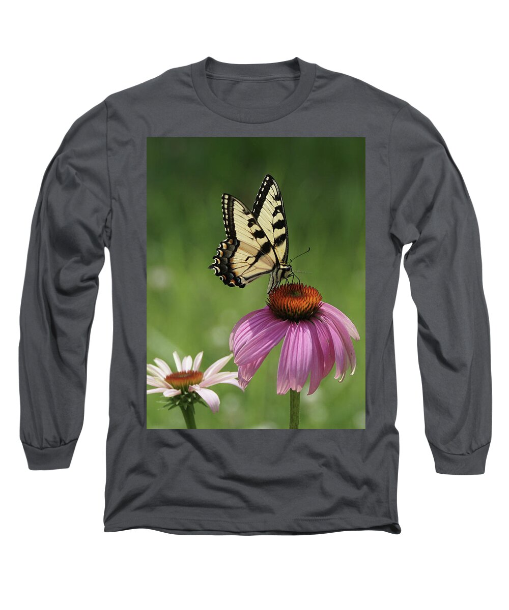 Butterfly Long Sleeve T-Shirt featuring the photograph Tiger Swallowtail Butterfly and Coneflowers by Robert E Alter Reflections of Infinity