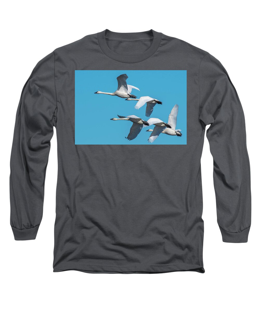 Birds Long Sleeve T-Shirt featuring the photograph Tundra Swans in Flight by Donald Brown