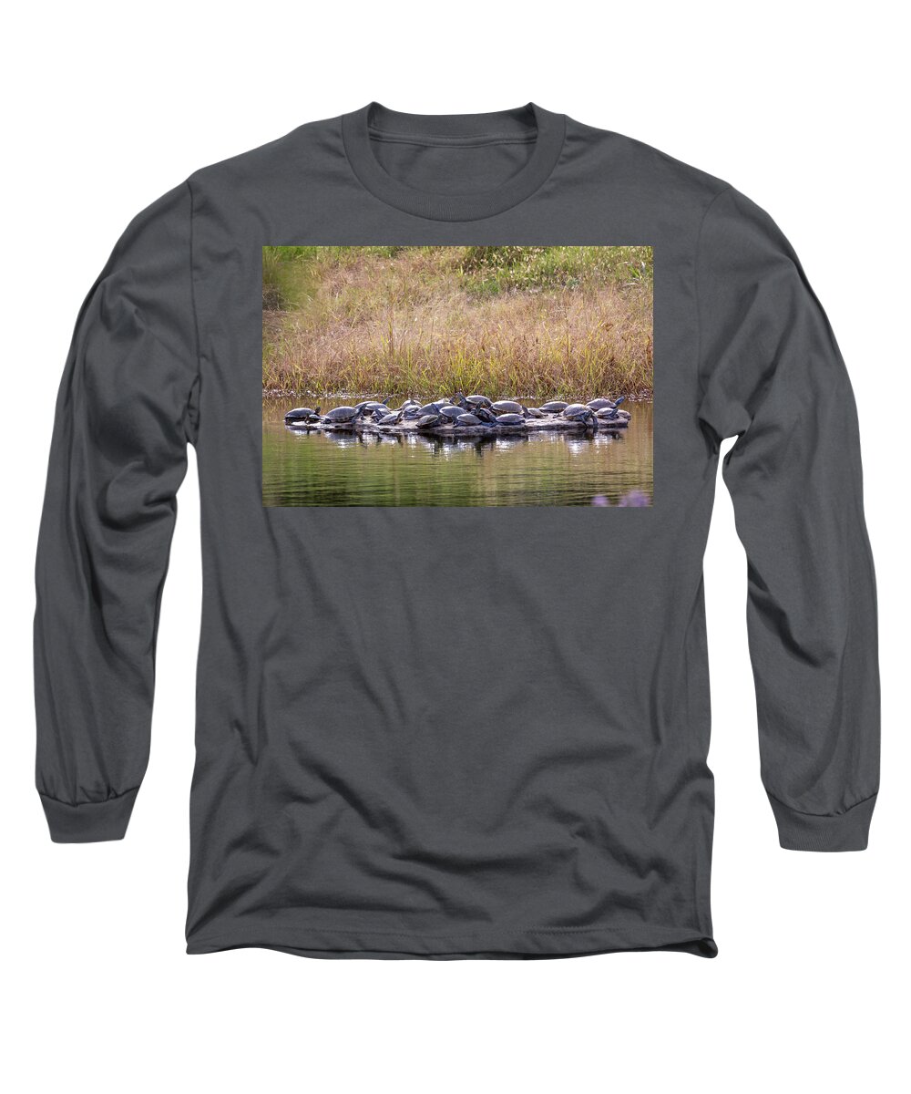 Turtle Long Sleeve T-Shirt featuring the photograph Turtle Rock by David Wagenblatt