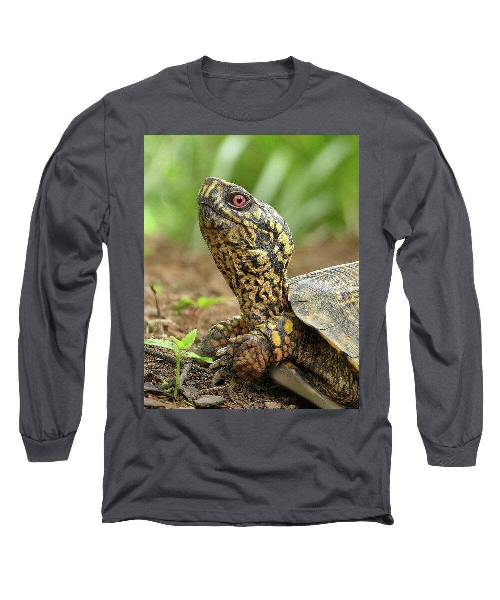 Turtle Long Sleeve T-Shirt featuring the photograph Watchful Eye by Randall Dill