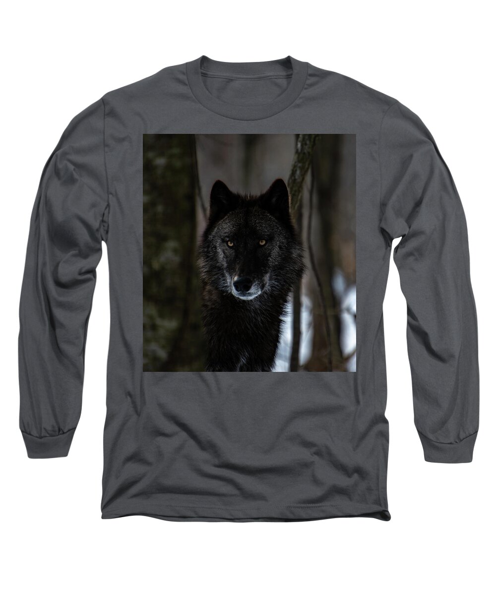 British Columbian Wolf Long Sleeve T-Shirt featuring the photograph Watching by Rose Guinther