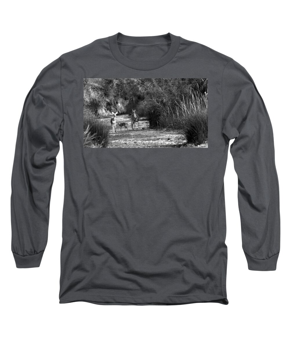 Richard E. Porter Long Sleeve T-Shirt featuring the photograph Watering Hole - Deer, Palo Duro Canyon State Park, Texas by Richard Porter