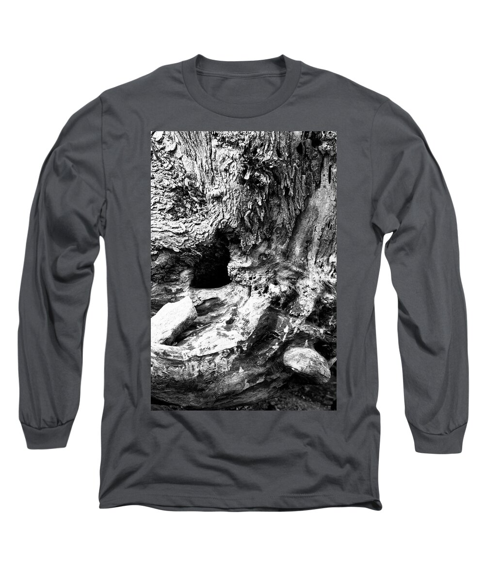 Stump Long Sleeve T-Shirt featuring the photograph Weathered Stump by Bob Decker