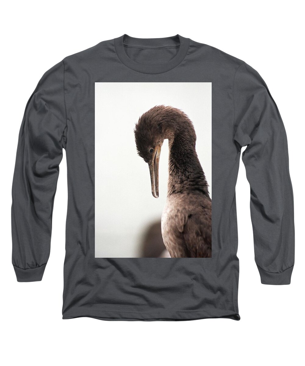 Fine Art America Long Sleeve T-Shirt featuring the photograph Well Groomed by Andrew Hewett