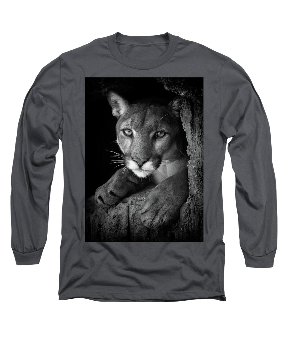 Mountain Lion Long Sleeve T-Shirt featuring the photograph What Now by Elaine Malott