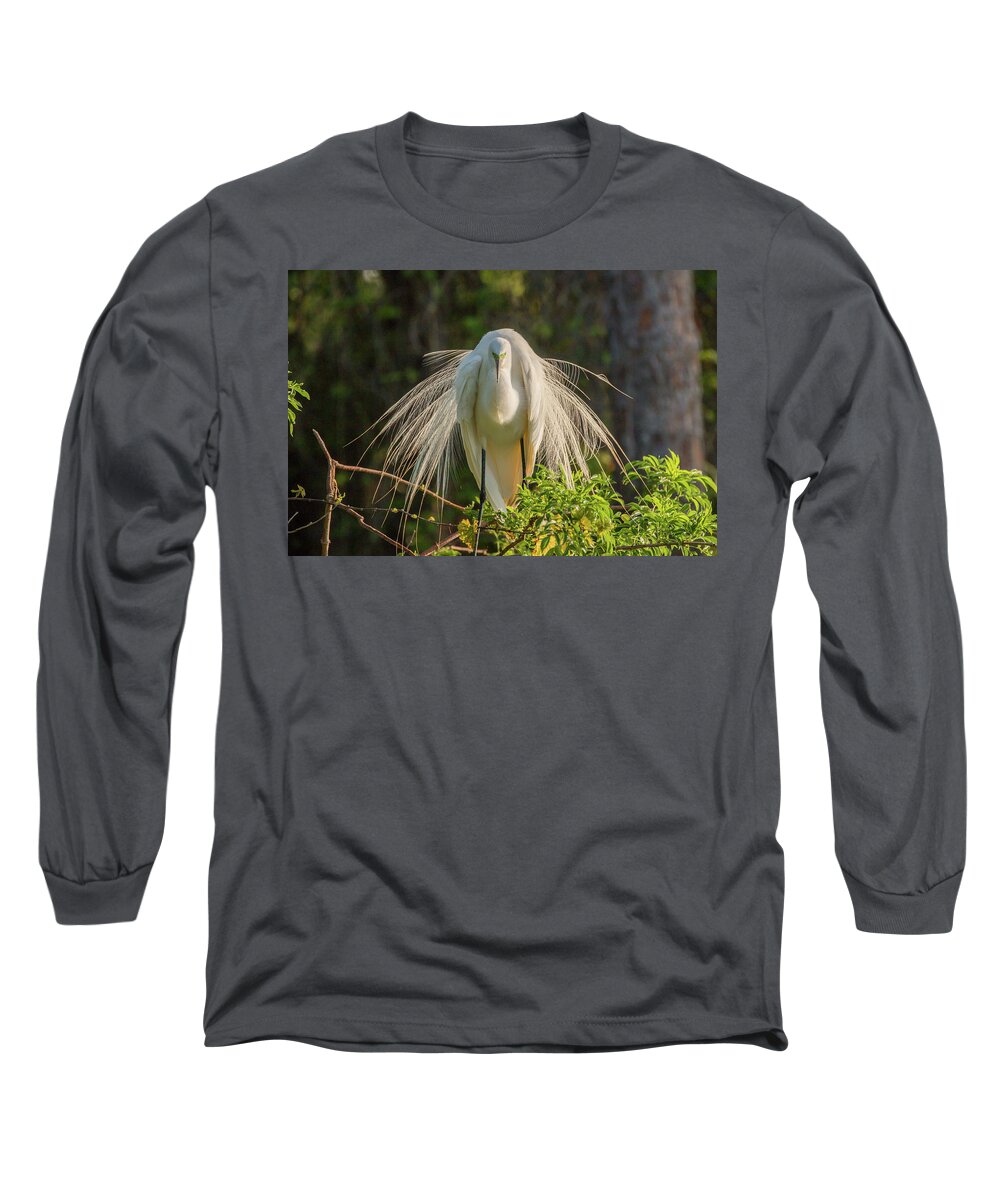 White Egret Long Sleeve T-Shirt featuring the photograph White Egret by Dorothy Cunningham