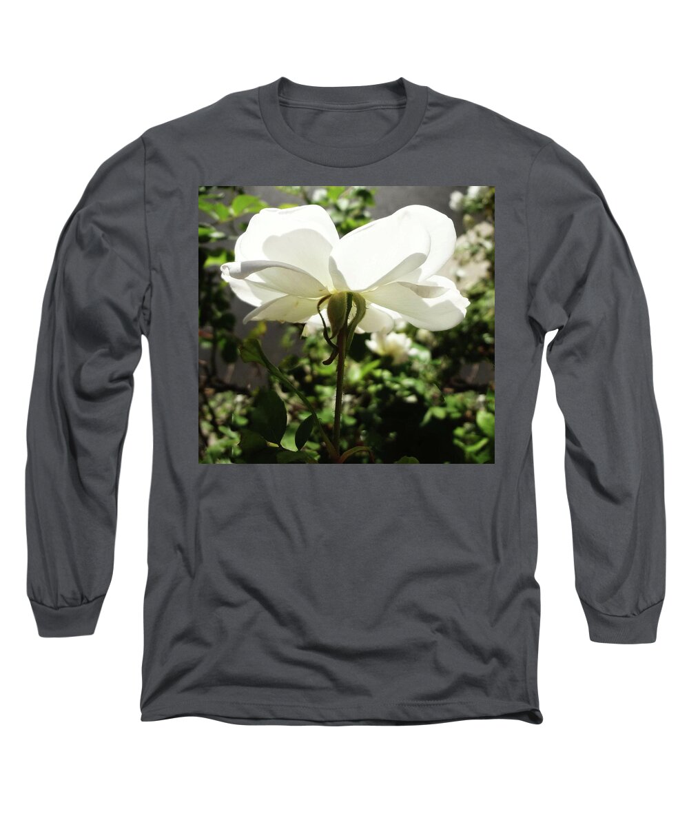 Flowers Long Sleeve T-Shirt featuring the photograph White Petals by Bruce IORIO