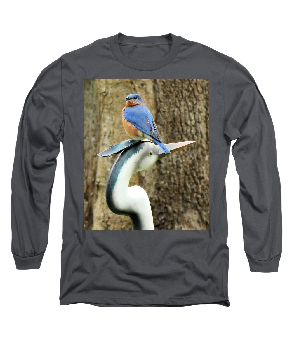 Birds Long Sleeve T-Shirt featuring the photograph Who's the Boss? by Karen Stansberry