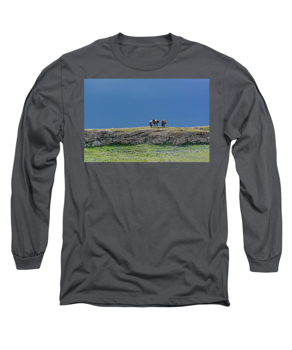 Pryor Mountain Long Sleeve T-Shirt featuring the photograph Wild Bachelor Stallions by Douglas Wielfaert