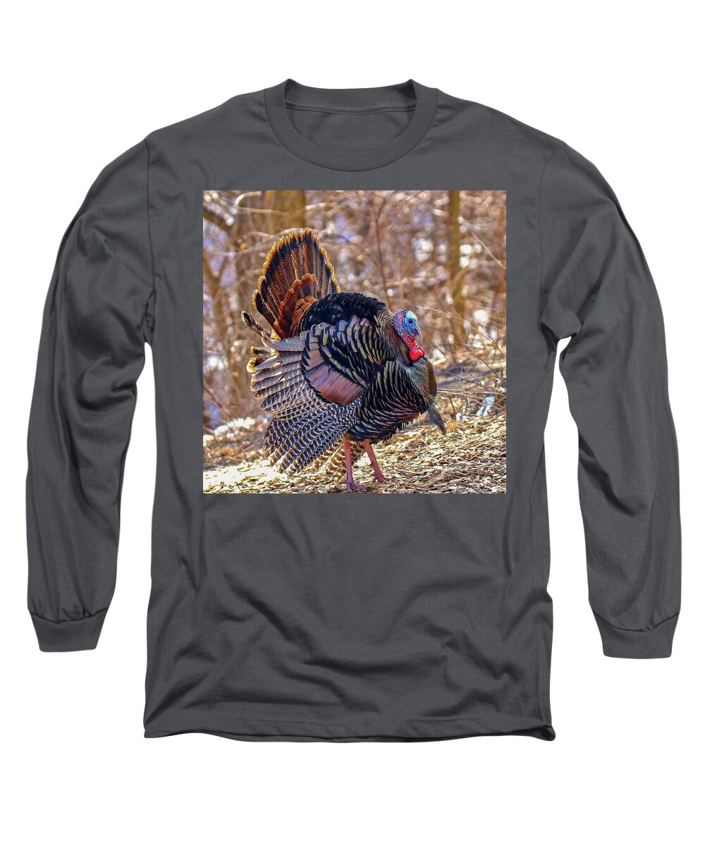 Colorful Long Sleeve T-Shirt featuring the photograph Wild Turkey by Susan Rydberg