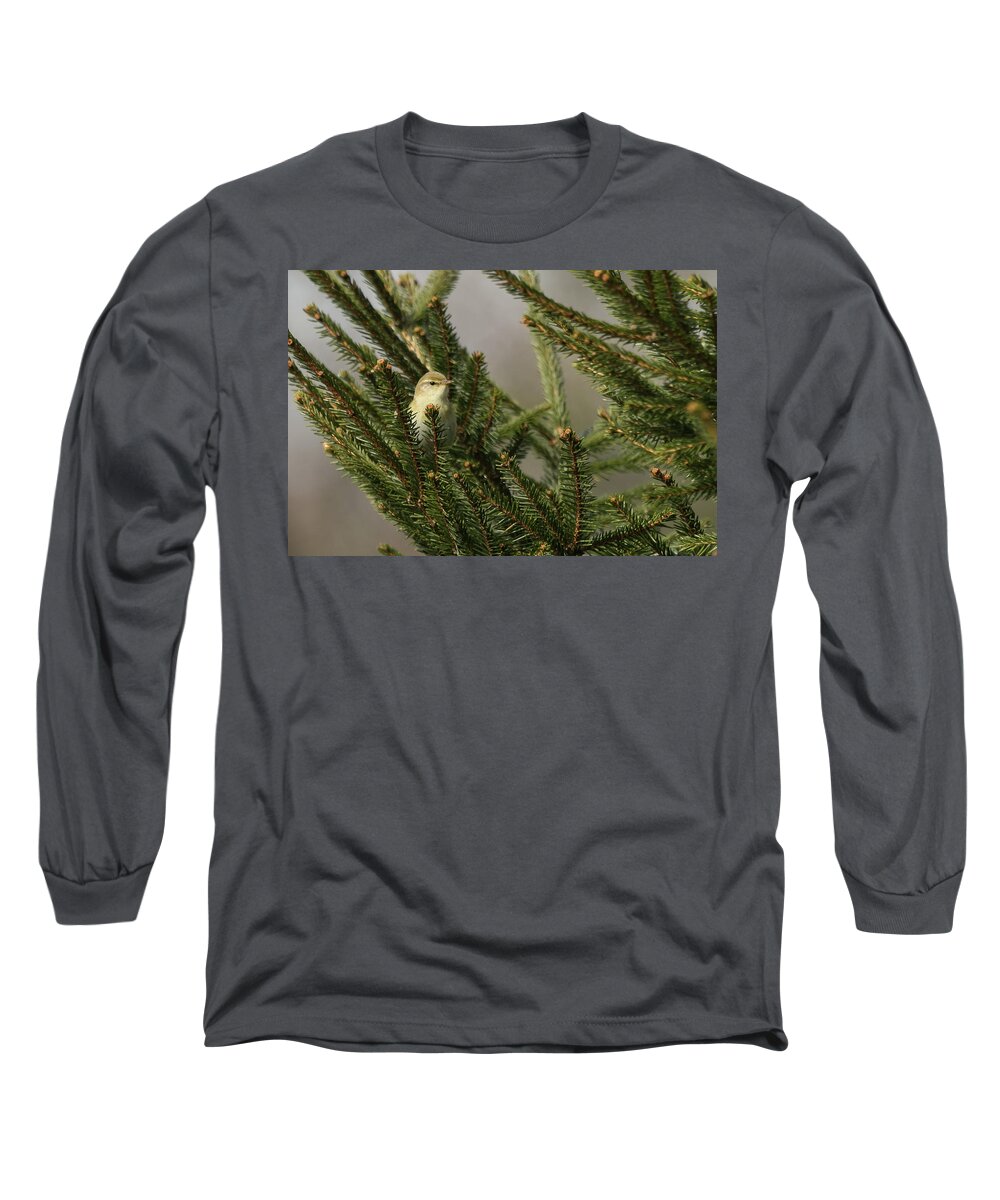Wildlifephotograpy Long Sleeve T-Shirt featuring the photograph Willow Warbler by Wendy Cooper
