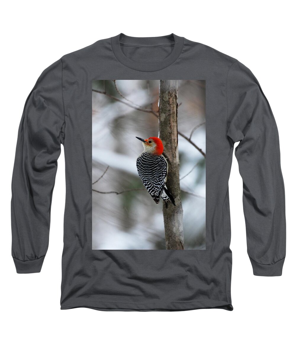 Red Bellied Woodpecker Long Sleeve T-Shirt featuring the photograph Winter Visitor by Sonja Jones
