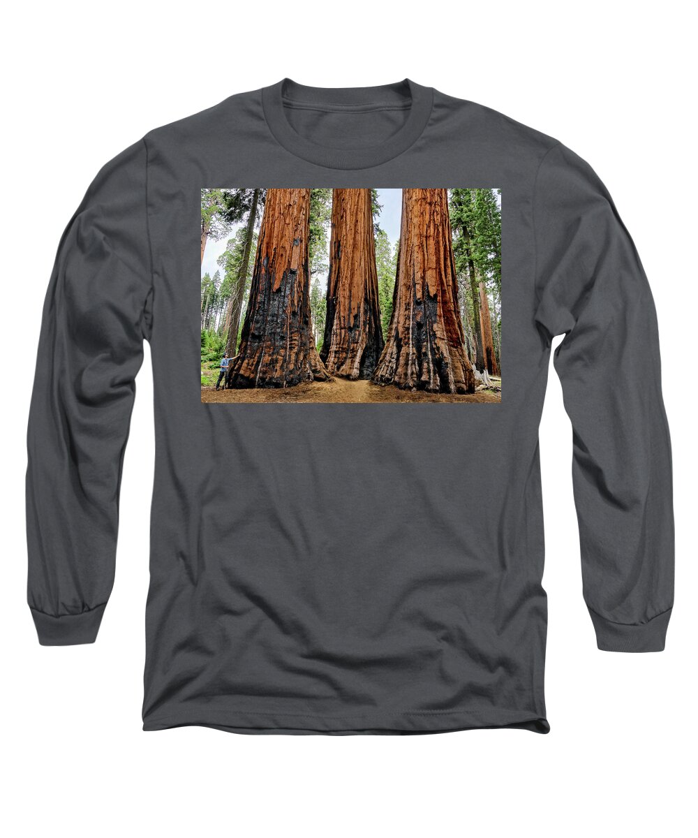 Sequoia National Park Long Sleeve T-Shirt featuring the photograph Admiring Giants #1 by Brett Harvey