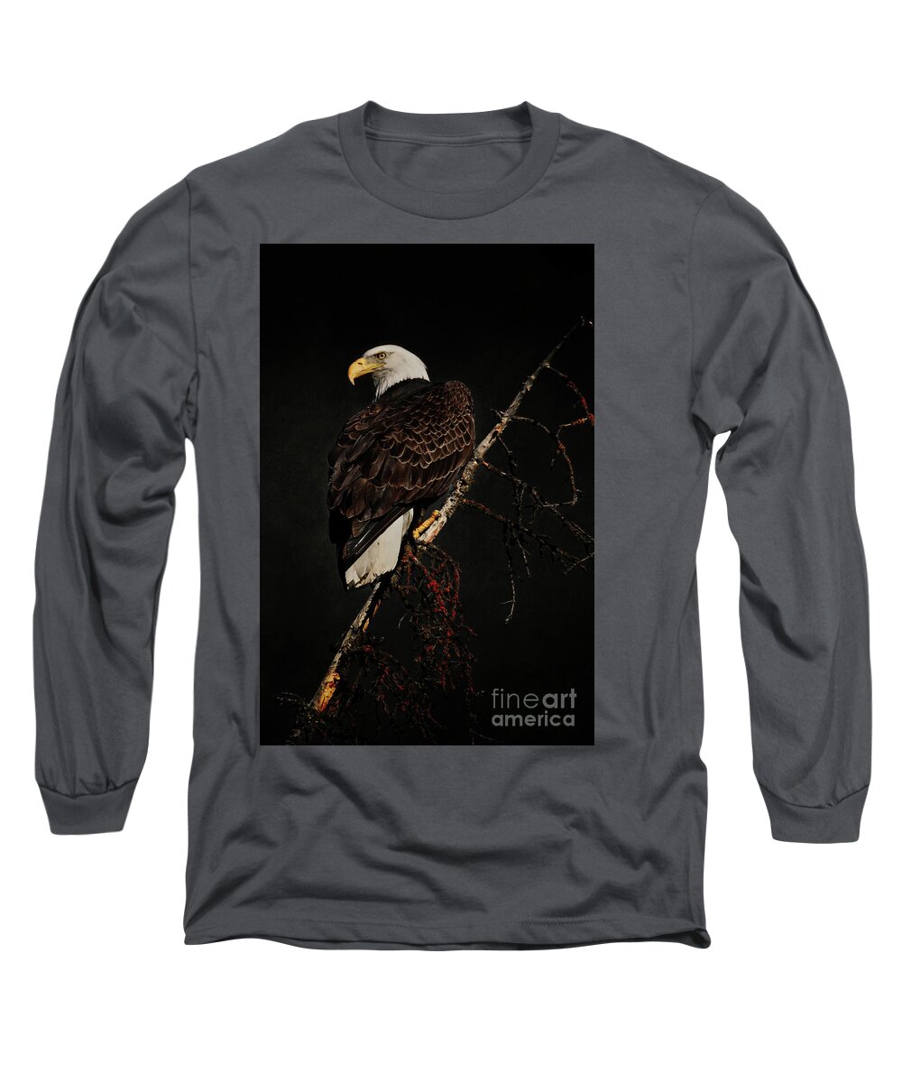 Bald Eagle Long Sleeve T-Shirt featuring the photograph Bald Eagle #2 by Thomas Nay