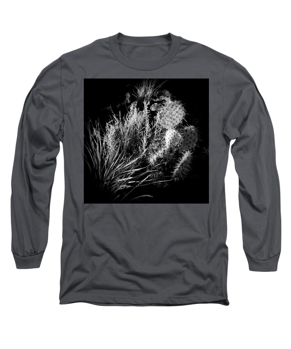 Valley Of Fires Long Sleeve T-Shirt featuring the photograph Cactus in the Rock #1 by George Taylor