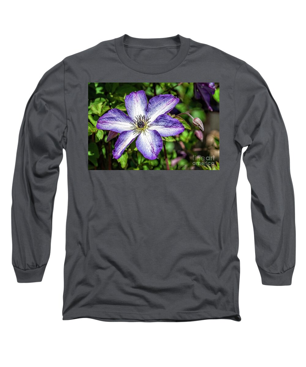 Clematis Long Sleeve T-Shirt featuring the photograph Clematis #1 by Fran Woods