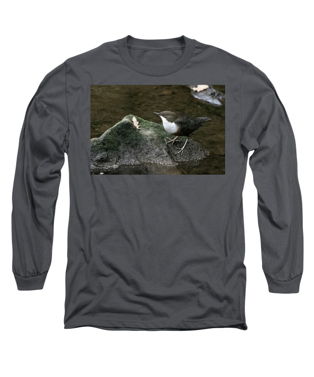 Flyladyphotographybywendycooper Long Sleeve T-Shirt featuring the photograph Dipper #1 by Wendy Cooper