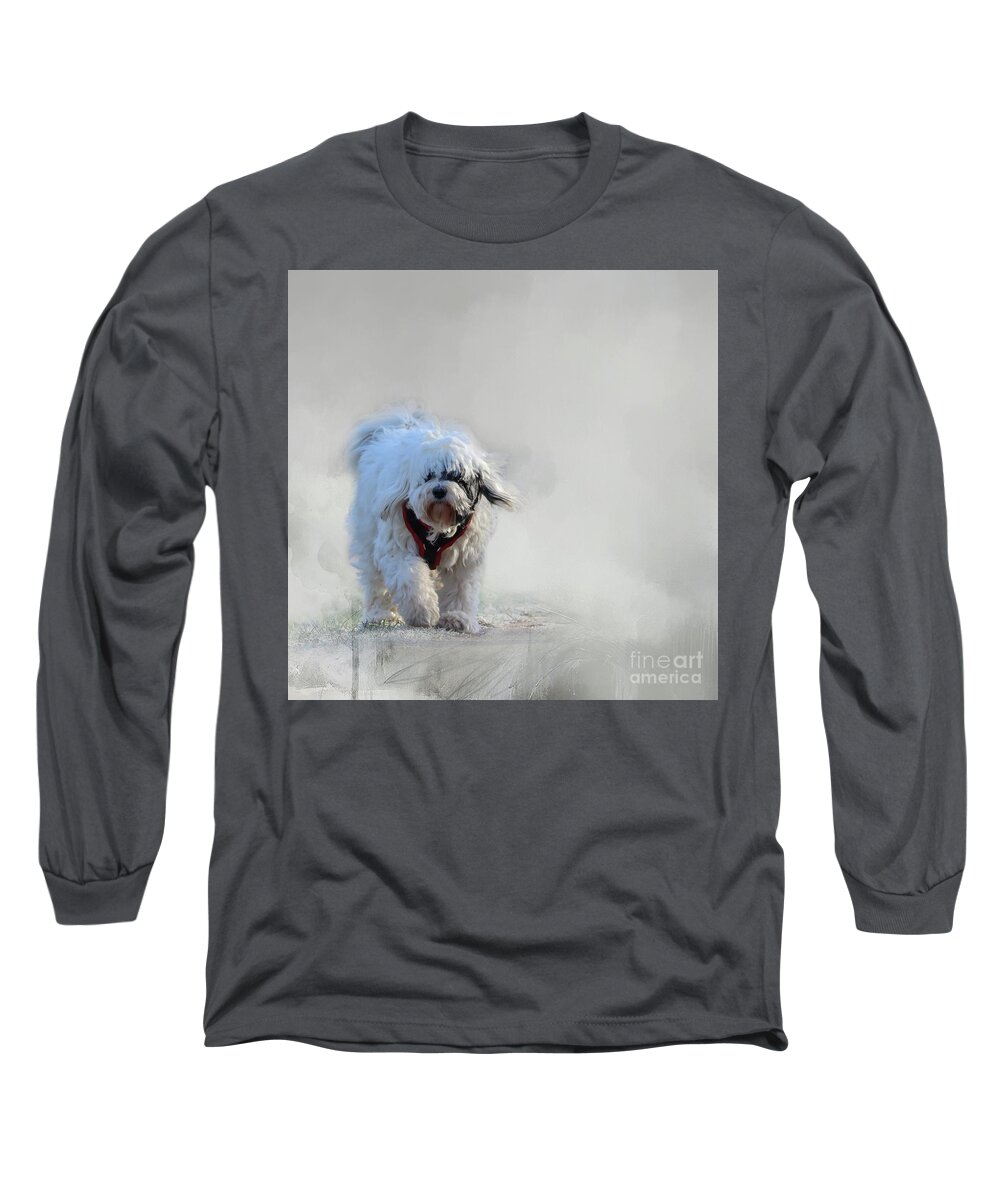 Dog Long Sleeve T-Shirt featuring the photograph Frosty Morning #1 by Eva Lechner