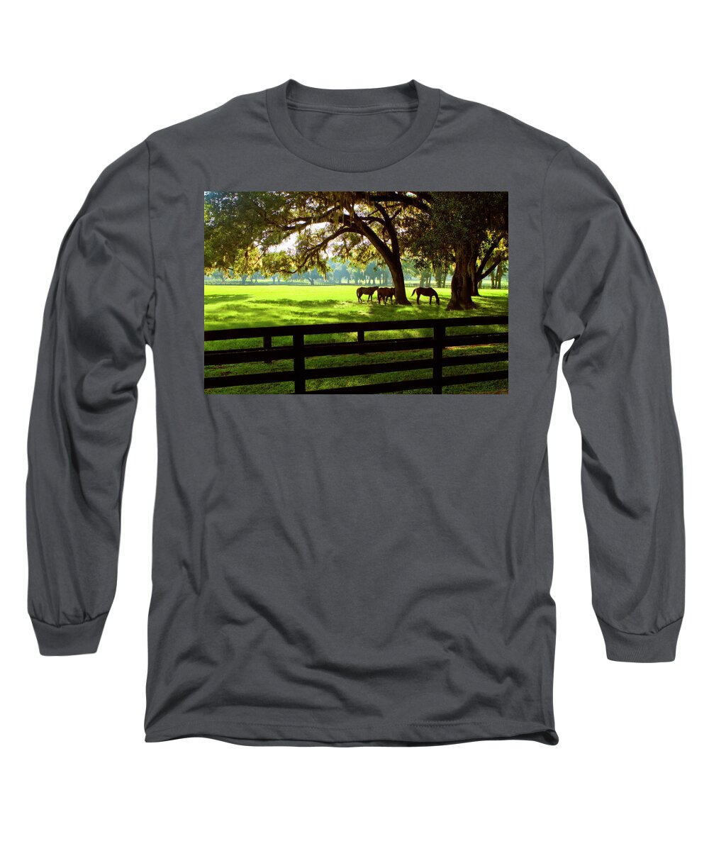 Photo Long Sleeve T-Shirt featuring the photograph Horses in the Sunrise 4 #1 by Alan Hausenflock