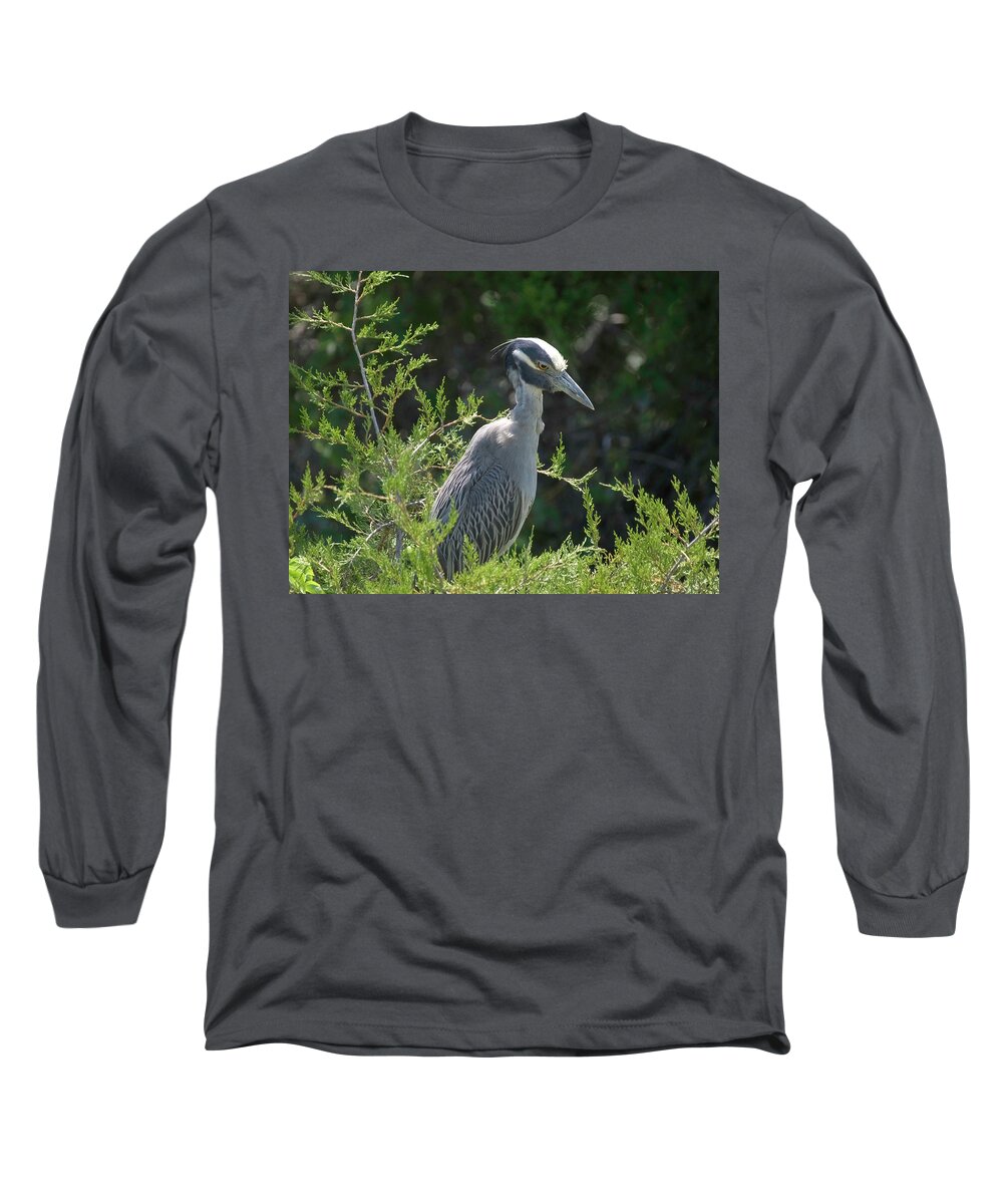 Birds Long Sleeve T-Shirt featuring the photograph I am watching you #1 by Paul Ross