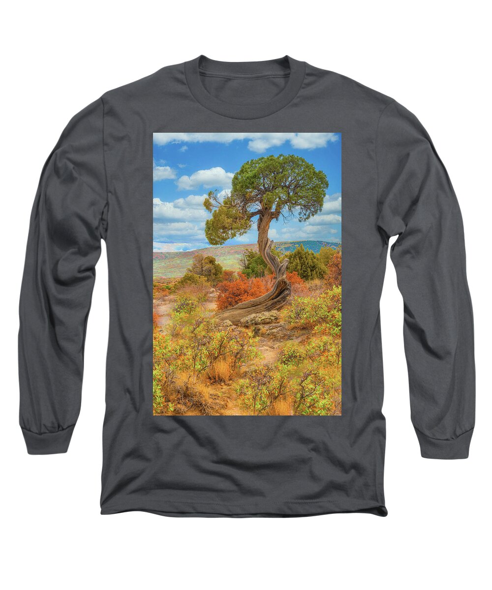 Juniper Tree Long Sleeve T-Shirt featuring the photograph Juniper Tree, Black Canyon of the Gunnison National Park, Colorado by Tom Potter