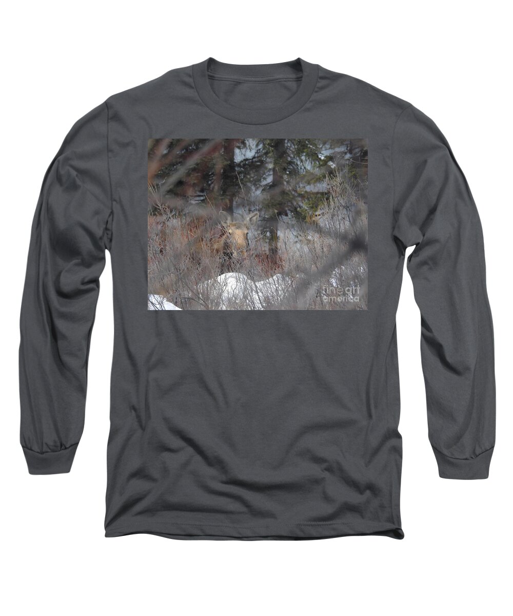 Moose Long Sleeve T-Shirt featuring the photograph Moose in the Willows #2 by Nicola Finch