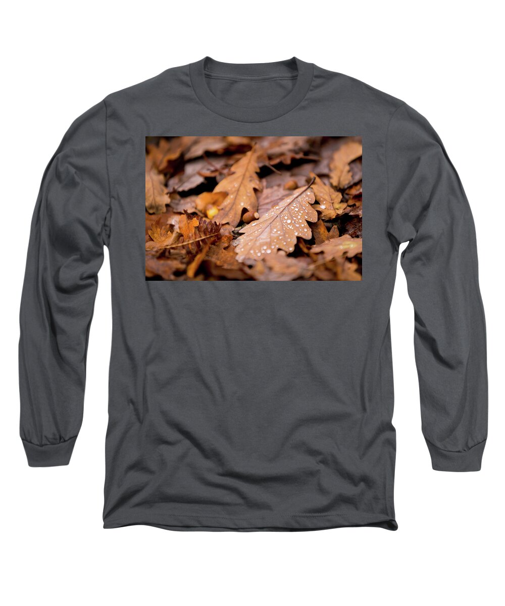 Fall Long Sleeve T-Shirt featuring the photograph Oak Leaves and rain drops #1 by Anita Nicholson