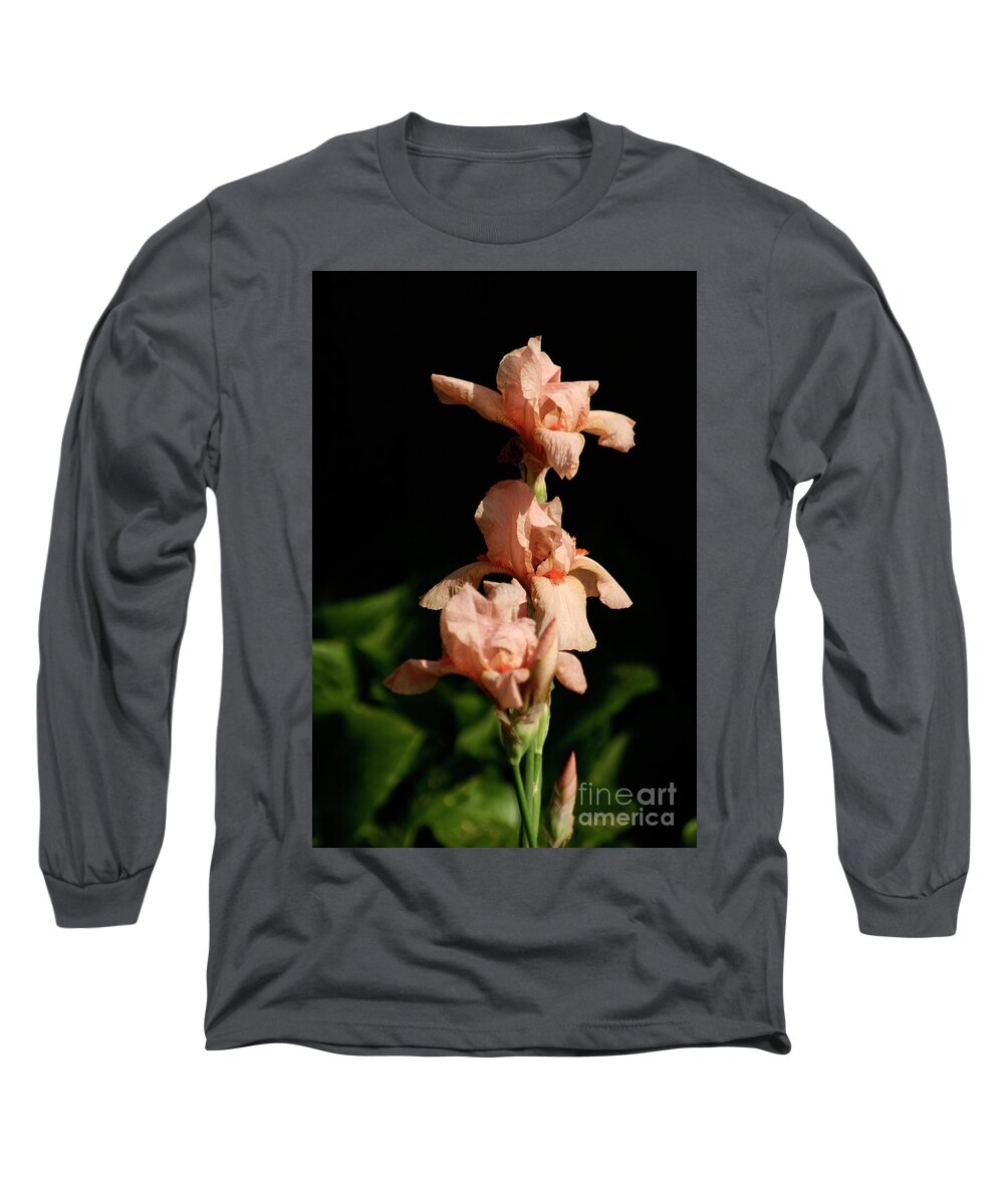Peach Color Iris On A Dark Background Long Sleeve T-Shirt featuring the photograph Peach Iris #1 by B Rossitto
