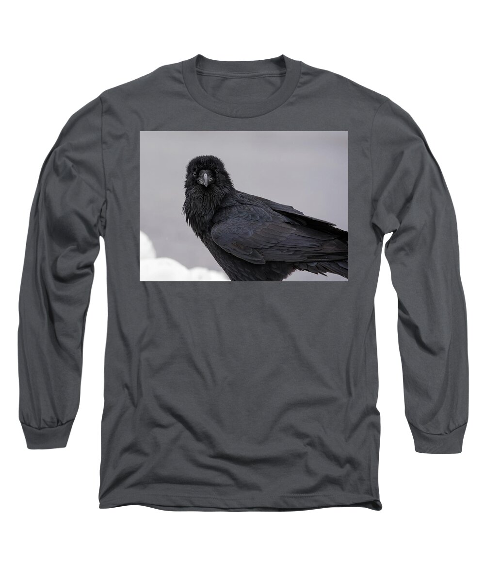 Raven Long Sleeve T-Shirt featuring the photograph Raven #1 by David Kirby