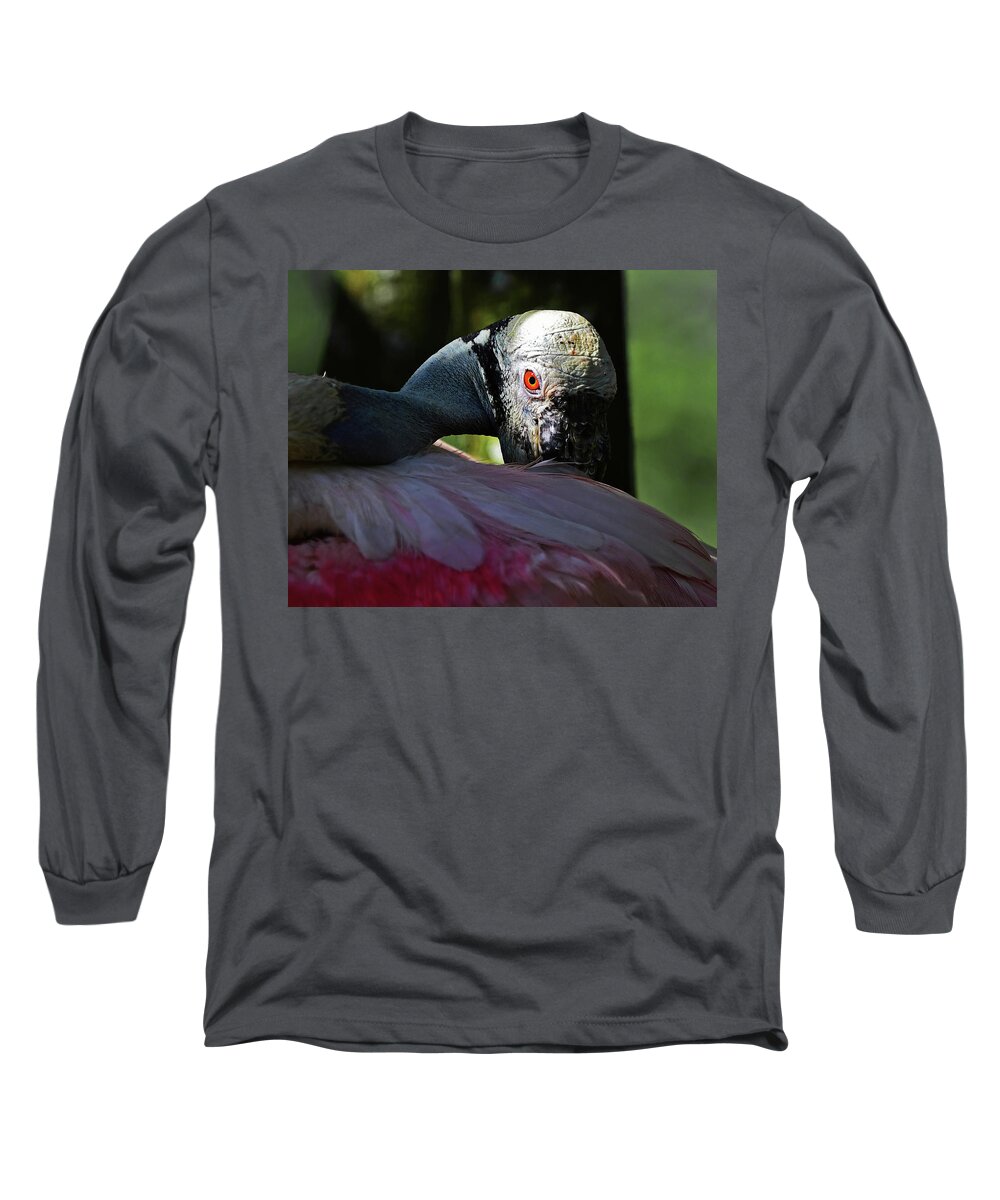 Roseate Spoonbill Long Sleeve T-Shirt featuring the photograph Roseate Spoonbill #1 by Stuart Harrison