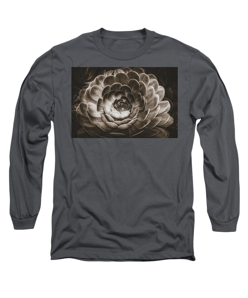 Spiritual Long Sleeve T-Shirt featuring the photograph Santa Barbara Succulent#18 by Jennifer Wright