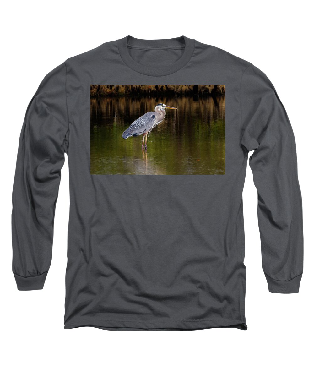 Bird Long Sleeve T-Shirt featuring the photograph Standing Watch #2 by Les Greenwood